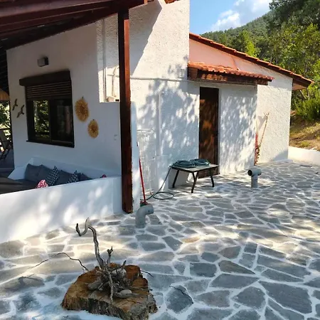 بيت للعطل Pine-house