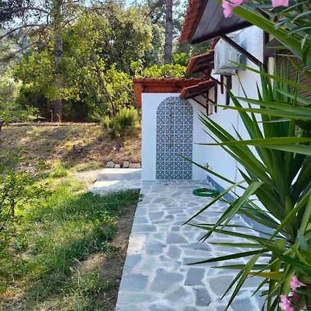 Ferienhaus Pine-house