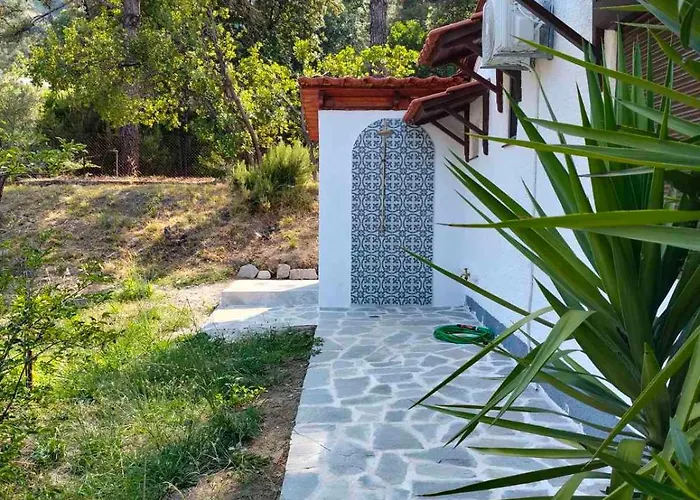 Holiday home Pine-house